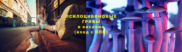 круглые Алзамай
