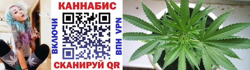 Марихуана ГИДРОПОН  магазин  наркотиков  Чадан 